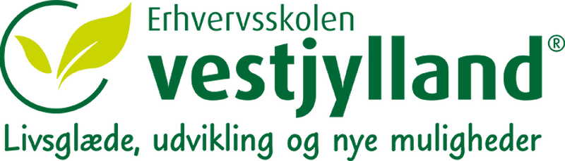 DSI Erhvervsskolen Vestjylland