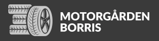 Motorgården Borris