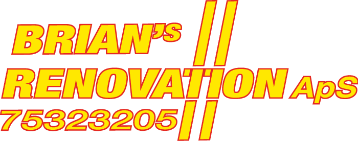 Brians Renovation